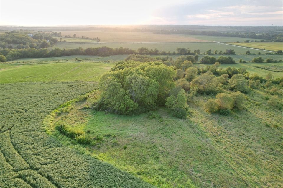 Listing Photo: Lot 2 - Drone Pic (18)